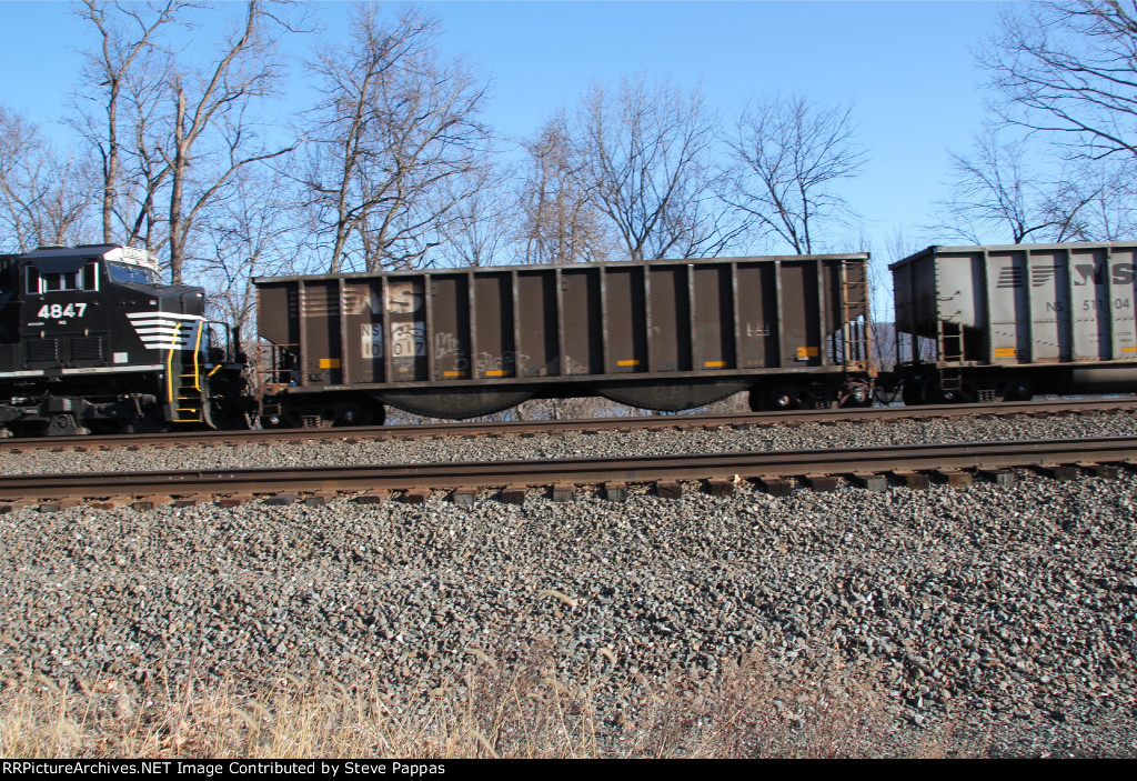 NS 10017